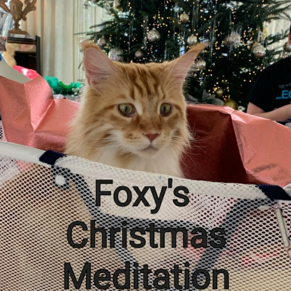 Meet the boys! - Picture 12 of 13